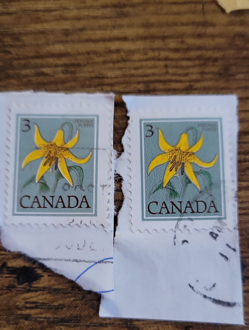 Yellow Lily Postage Stamp Set - Floral Home Art